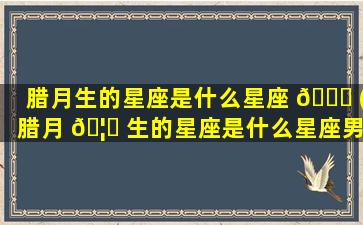 腊月生的星座是什么星座 🍁 (腊月 🦋 生的星座是什么星座男)